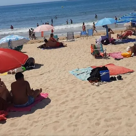 Tus Vacaciones En Casa Palomo *